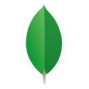 mongoDB leaf